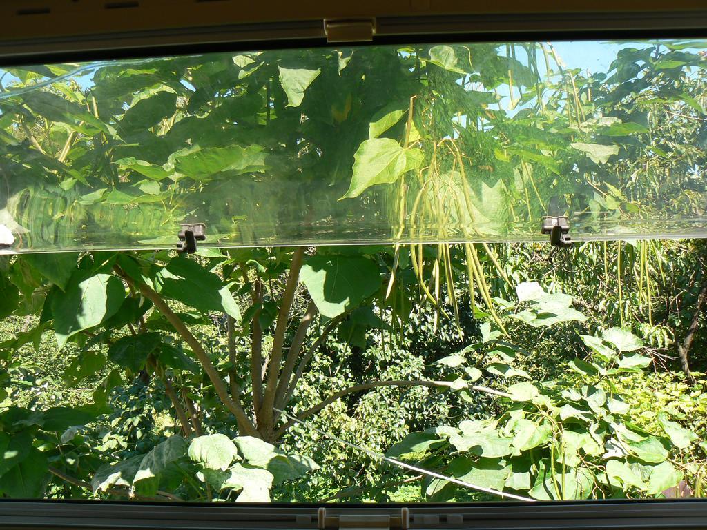 Auto-Chatka Sandomir Extérieur photo